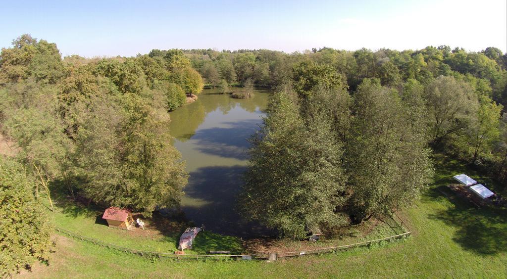 Agriturismo Parco Campofelice Lombardore Bagian luar foto